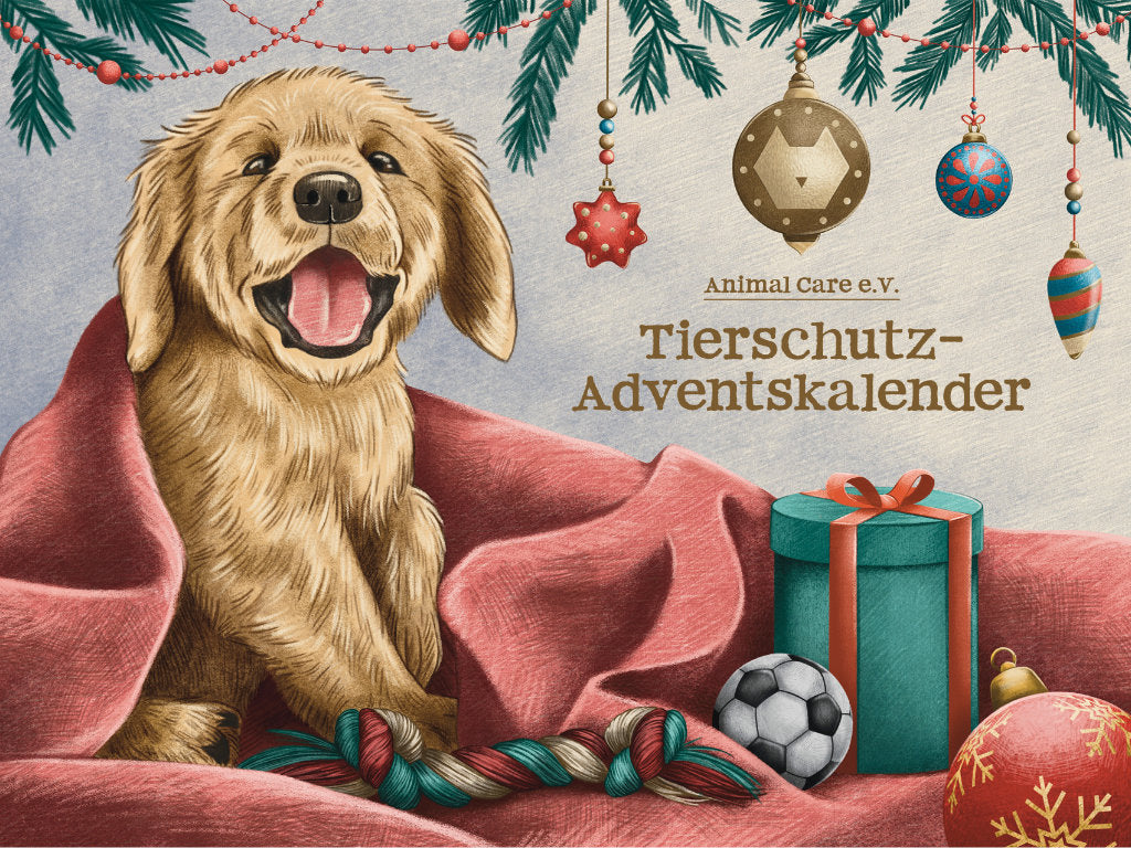 Adventskalender 2023