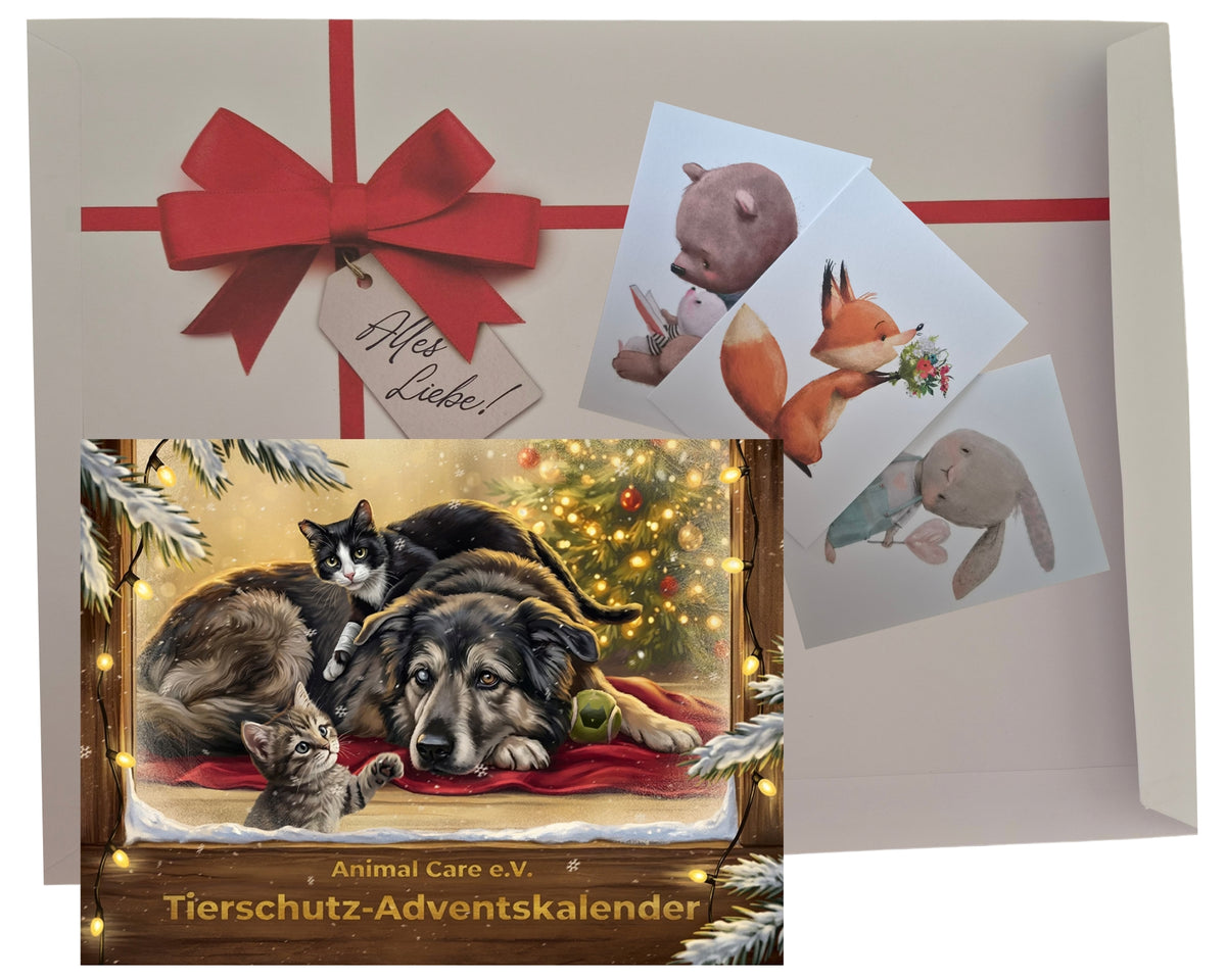 Adventskalender 2026 als Geschenk!