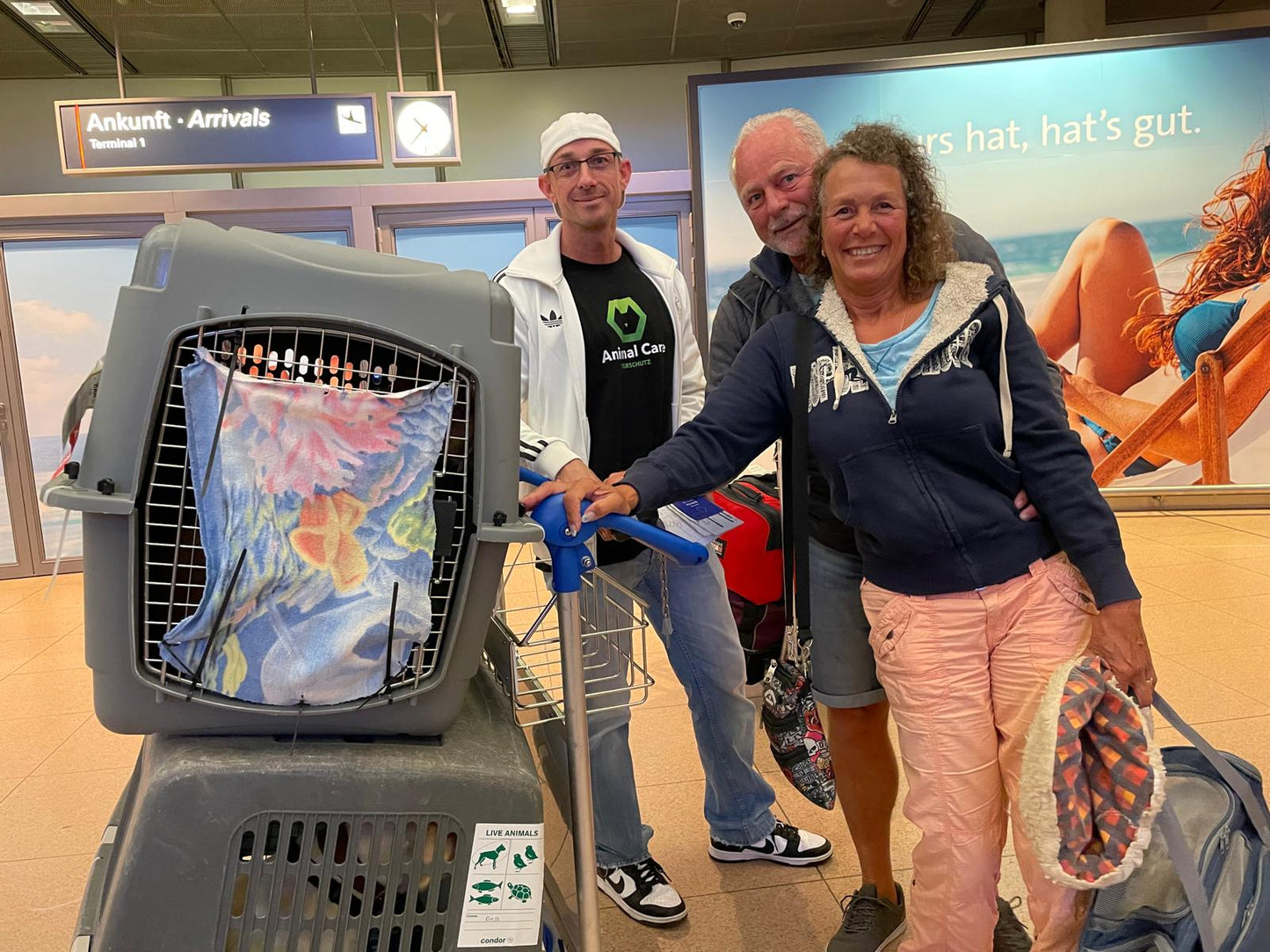 Werde Flugticketsponsor für gerettete Hunde von Fuerteventura