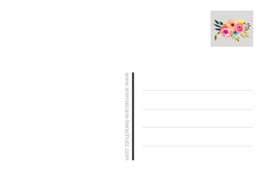 Postkarten neutral, 6er Set