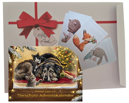 Adventskalender 2026 als Geschenk!