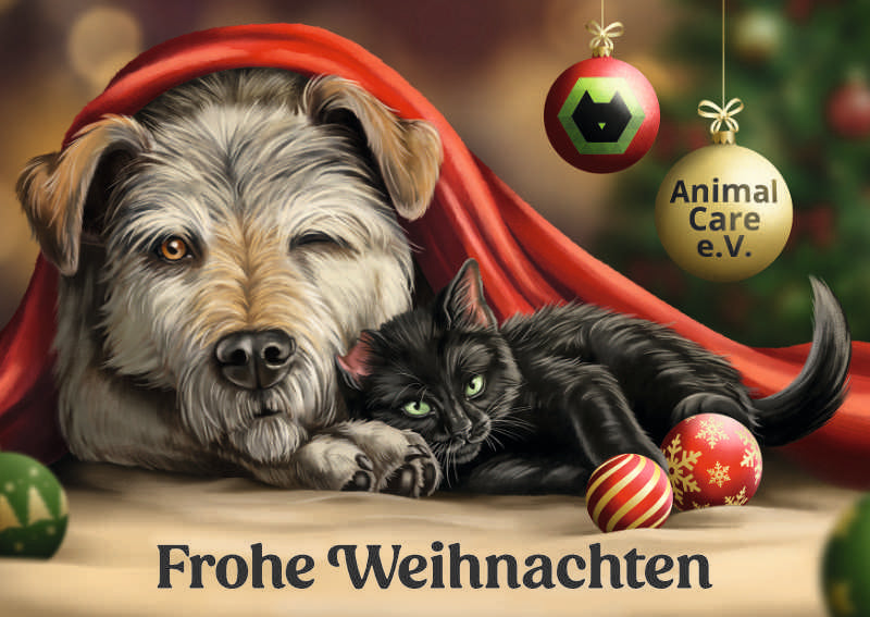 Weihnachtliche Postkarten von Künstlerin Maxie Perlberg, 3 Stück