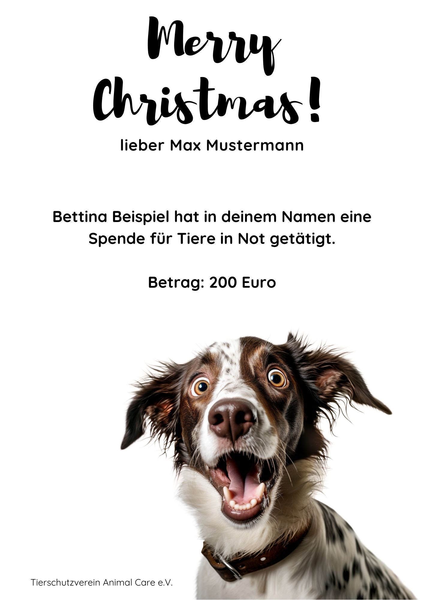 Geschenkspende "Merry Xmas"