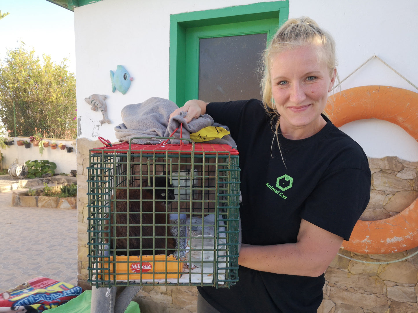 Futter für unsere Katzen auf Fuerteventura