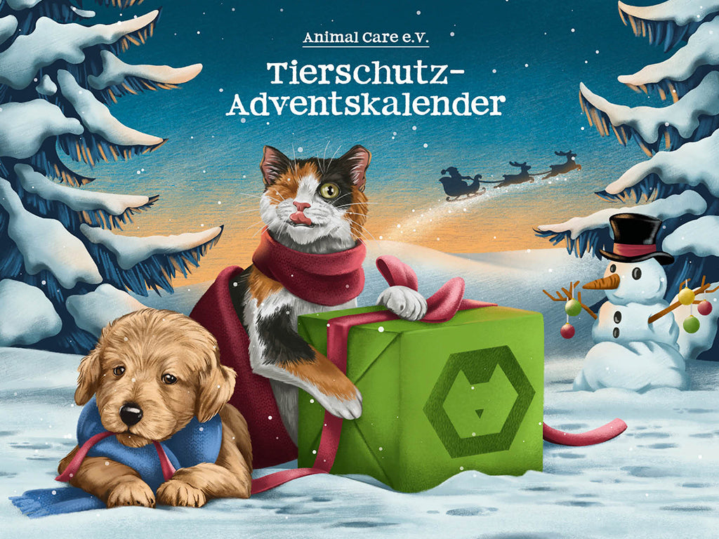 Adventskalender 2024