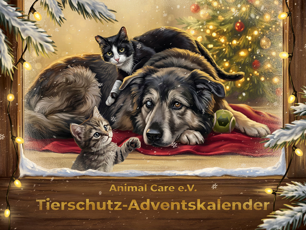 Adventskalender 2026